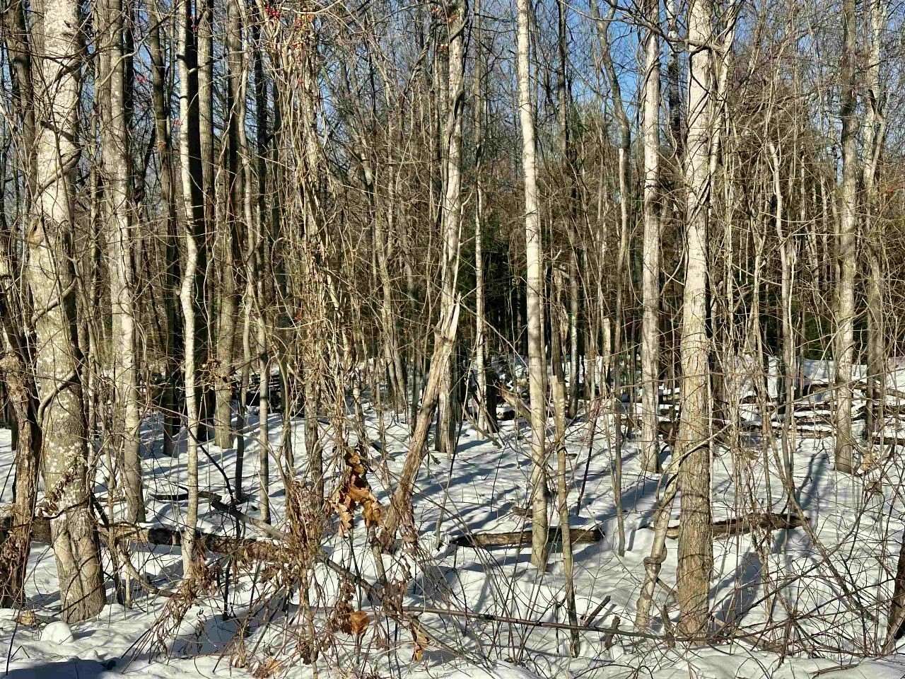 4.5 Acres of Residential Land for Sale in Concord, New Hampshire