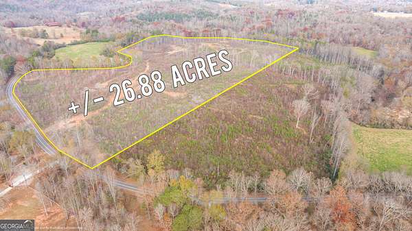 26.9 Acres of Agricultural Land for Sale in Alto, Georgia