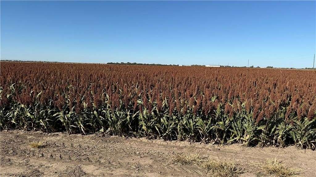 637 Acres of Agricultural Land for Sale in Fowler Township, Kansas