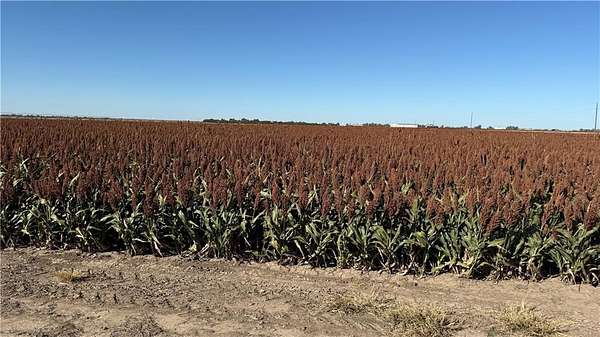 637 Acres of Agricultural Land for Sale in Fowler Township, Kansas