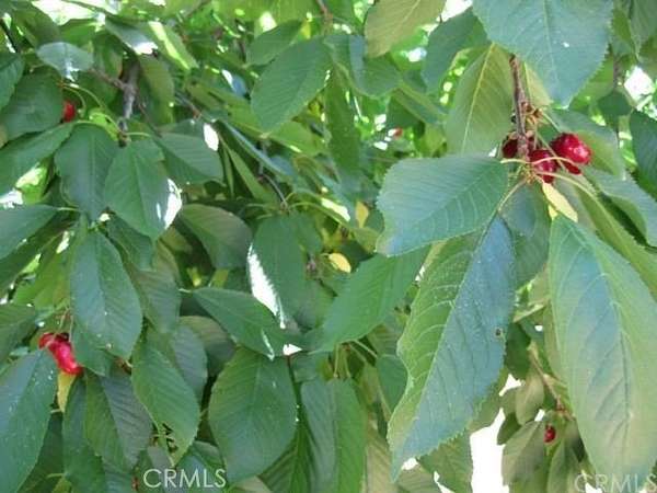 0.27 Acres of Land for Sale in Paradise, California