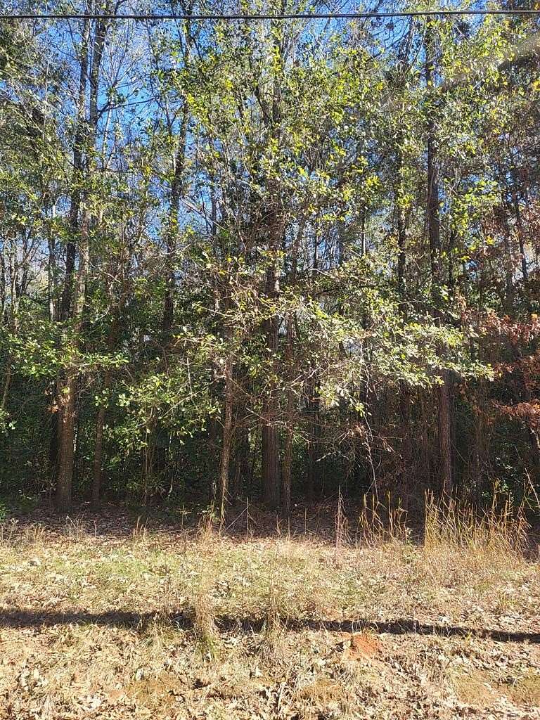 0.41 Acres of Residential Land for Sale in Albany, Georgia
