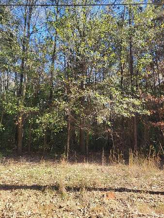 0.41 Acres of Residential Land for Sale in Albany, Georgia