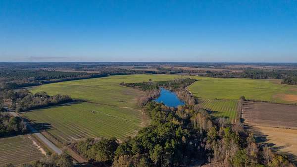 378 Acres of Recreational Land & Farm for Sale in Meigs, Georgia