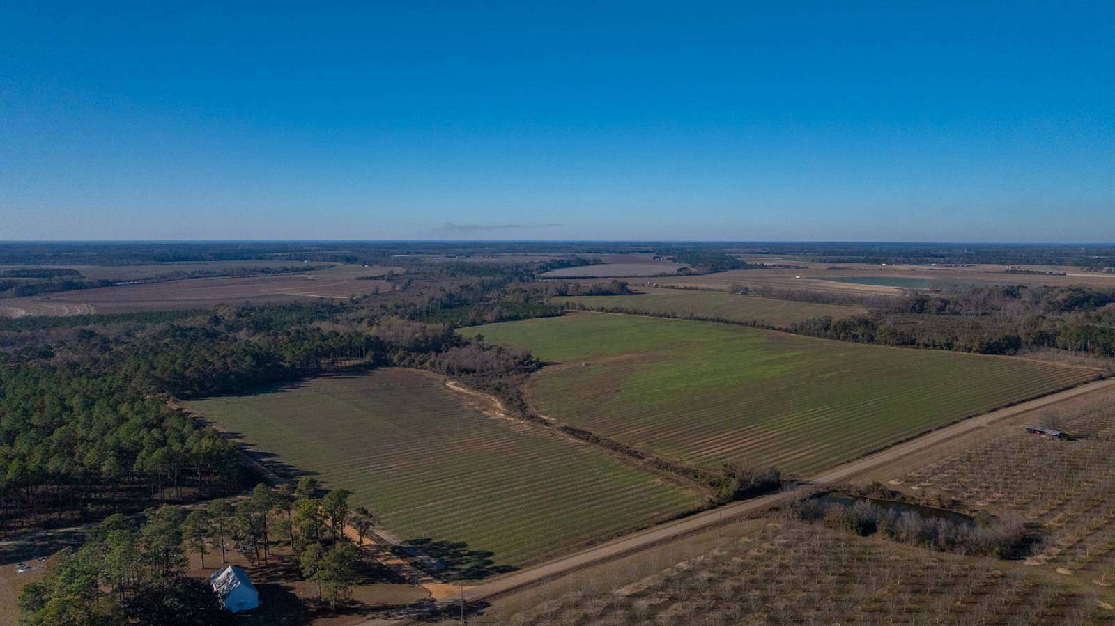 161 Acres of Recreational Land & Farm for Sale in Hartsfield, Georgia