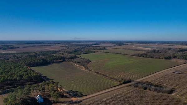 161 Acres of Recreational Land & Farm for Sale in Hartsfield, Georgia