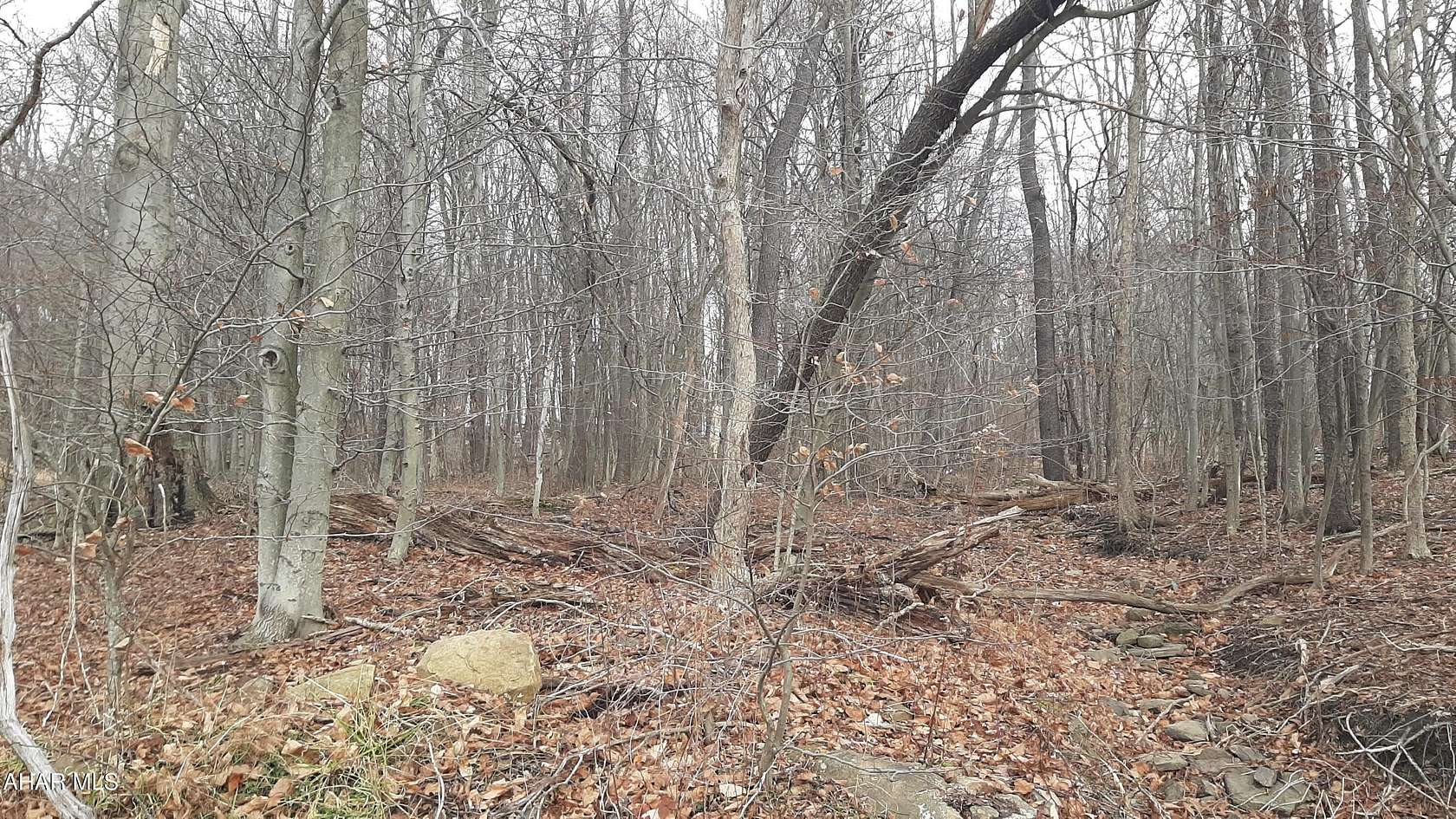 0.3 Acres of Residential Land for Sale in Lilly, Pennsylvania