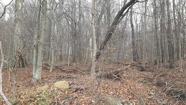 0.3 Acres of Residential Land for Sale in Lilly, Pennsylvania