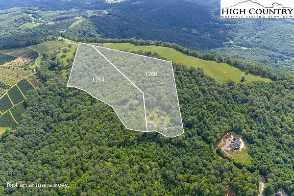 20.3 Acres of Land for Sale in Newland, North Carolina