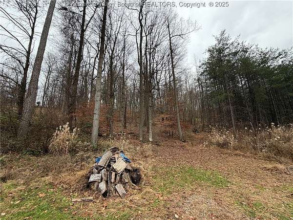 1.26 Acres of Residential Land for Sale in Winfield, West Virginia
