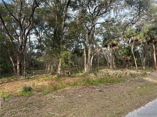 0.3 Acres of Land for Sale in Crystal River, Florida