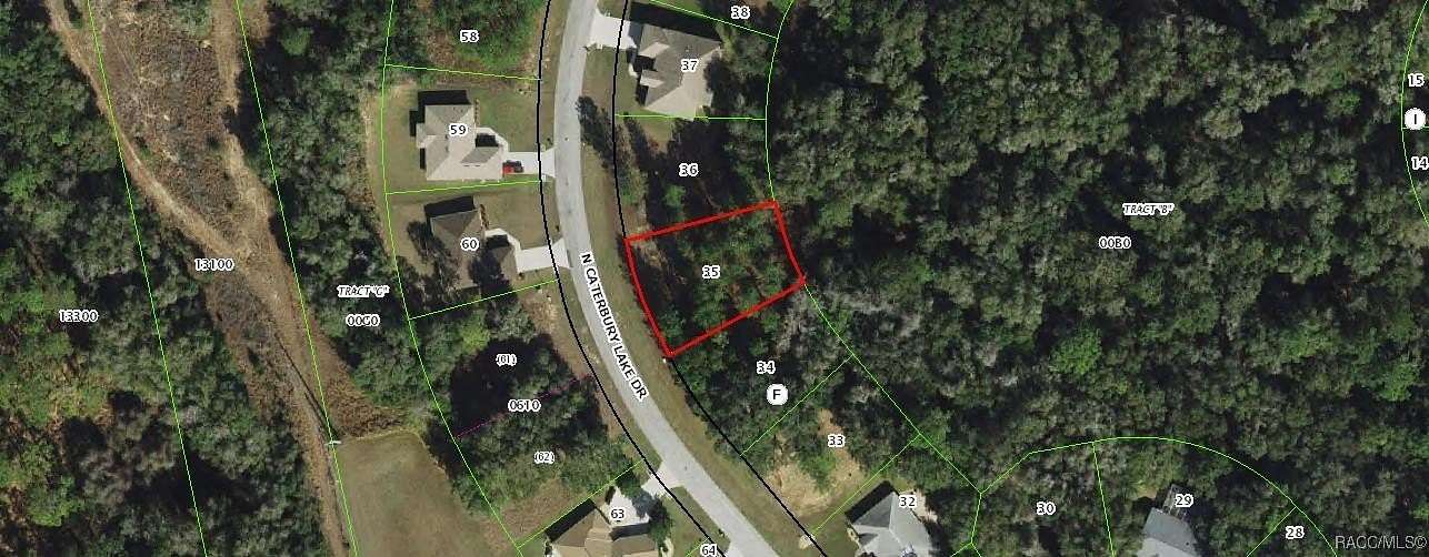0.22 Acres of Residential Land for Sale in Hernando, Florida