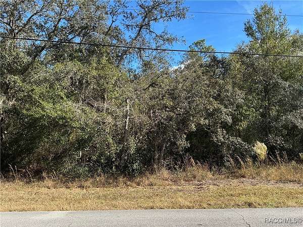 1 Acre of Residential Land for Sale in Hernando, Florida