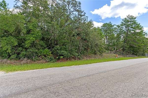 5.53 Acres of Commercial Land for Sale in Hernando, Florida