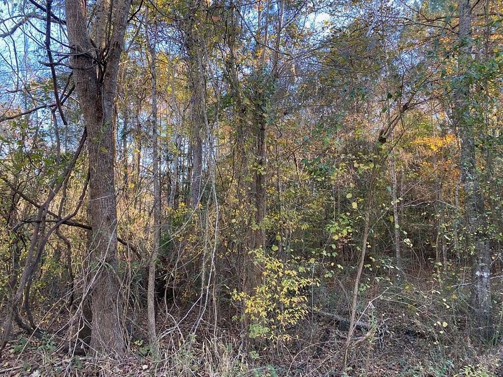 0.14 Acres of Land for Sale in Huntington, Texas