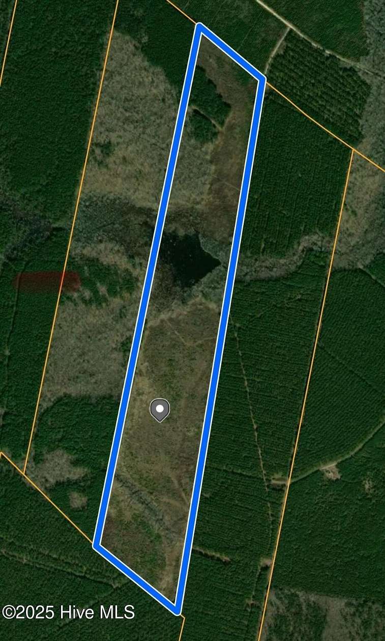 126 Acres of Recreational Land for Sale in Windsor, North Carolina