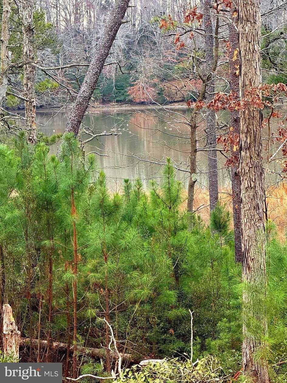 6.2 Acres of Residential Land for Sale in King George, Virginia