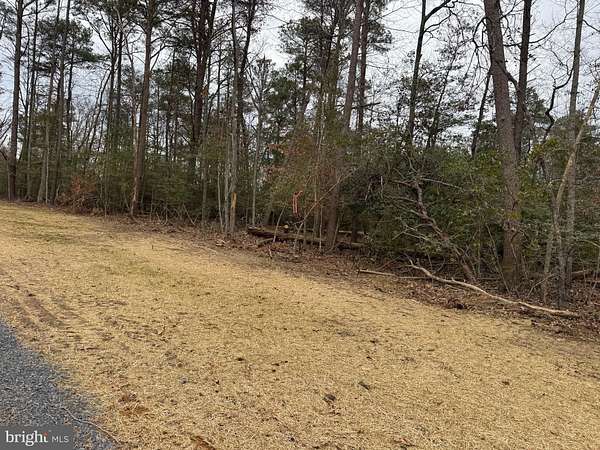 5 Acres of Residential Land for Sale in King George, Virginia