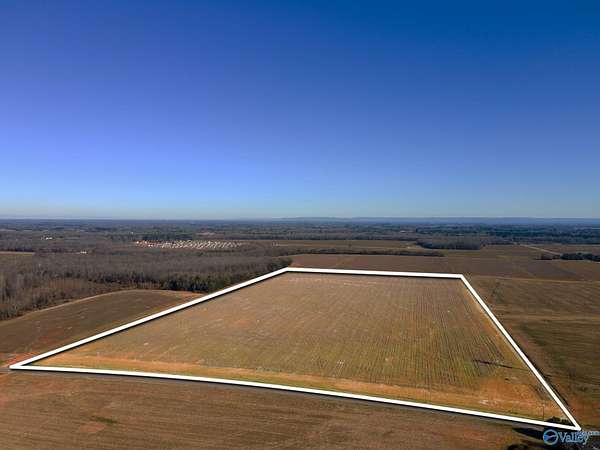 73.8 Acres of Land for Sale in Toney, Alabama