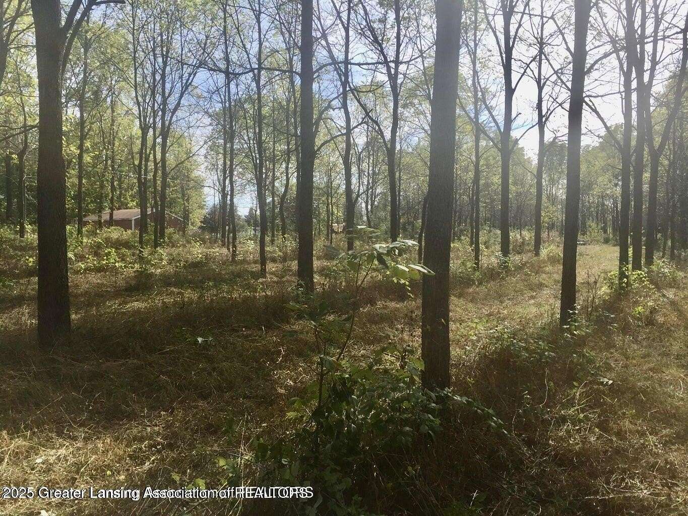 17 Acres of Land for Sale in DeWitt, Michigan