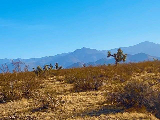 80.1 Acres of Land for Sale in Yucca, Arizona