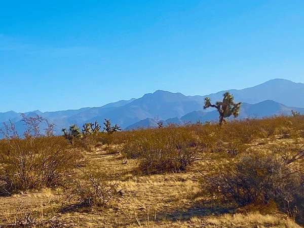 80.1 Acres of Land for Sale in Yucca, Arizona