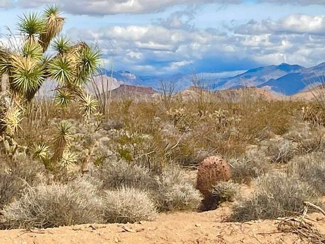 40 Acres of Recreational Land for Sale in Yucca, Arizona