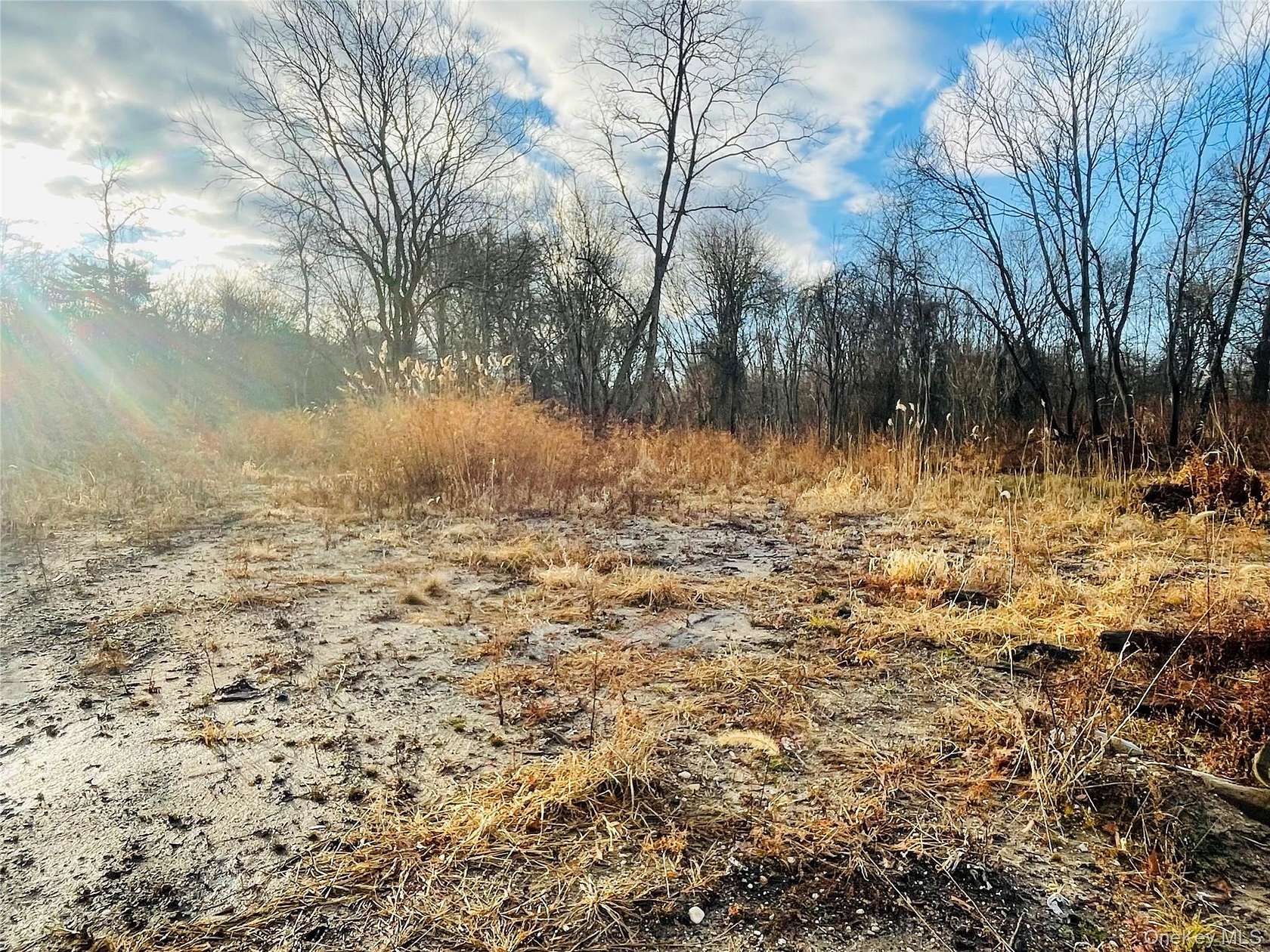 1 Acre of Land for Sale in Middle Island, New York