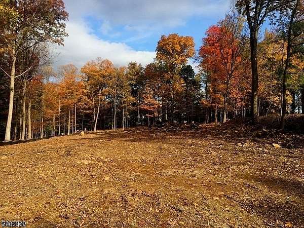 1.1 Acres of Residential Land for Sale in Warren Township, New Jersey