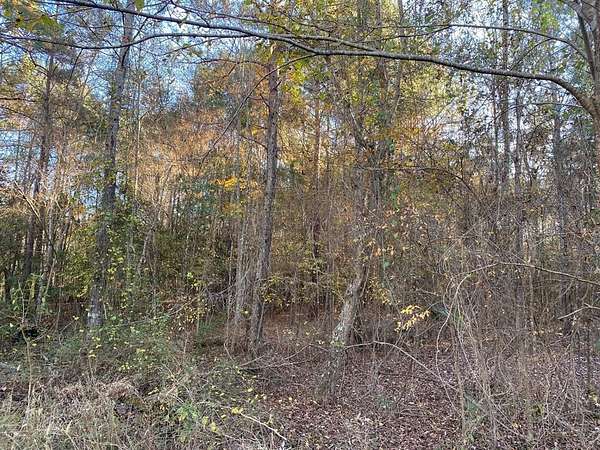 0.14 Acres of Land for Sale in Huntington, Texas