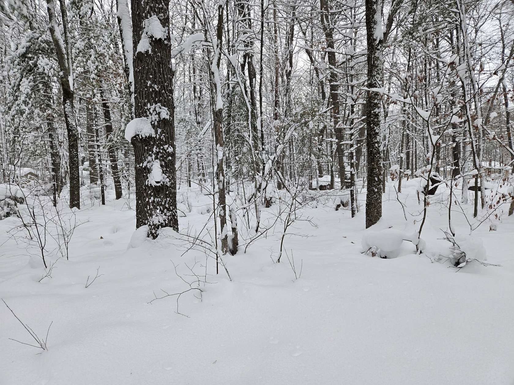 0.73 Acres of Land for Sale in Baldwin, Michigan