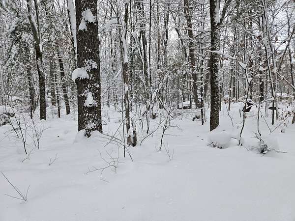 0.73 Acres of Land for Sale in Baldwin, Michigan