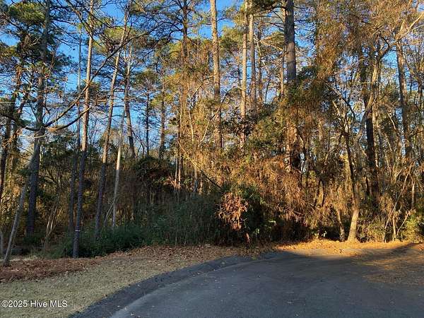 0.52 Acres of Residential Land for Sale in Pinehurst, North Carolina