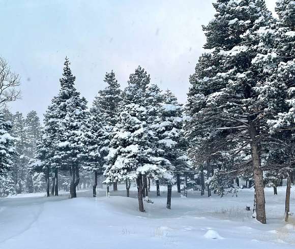 2.24 Acres of Residential Land for Sale in Fort Garland, Colorado