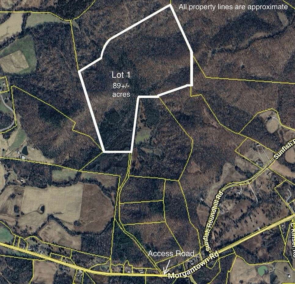 89.3 Acres of Recreational Land for Sale in Roundhill, Kentucky