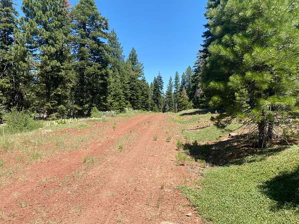 1 Acre of Residential Land for Sale in Alturas, California