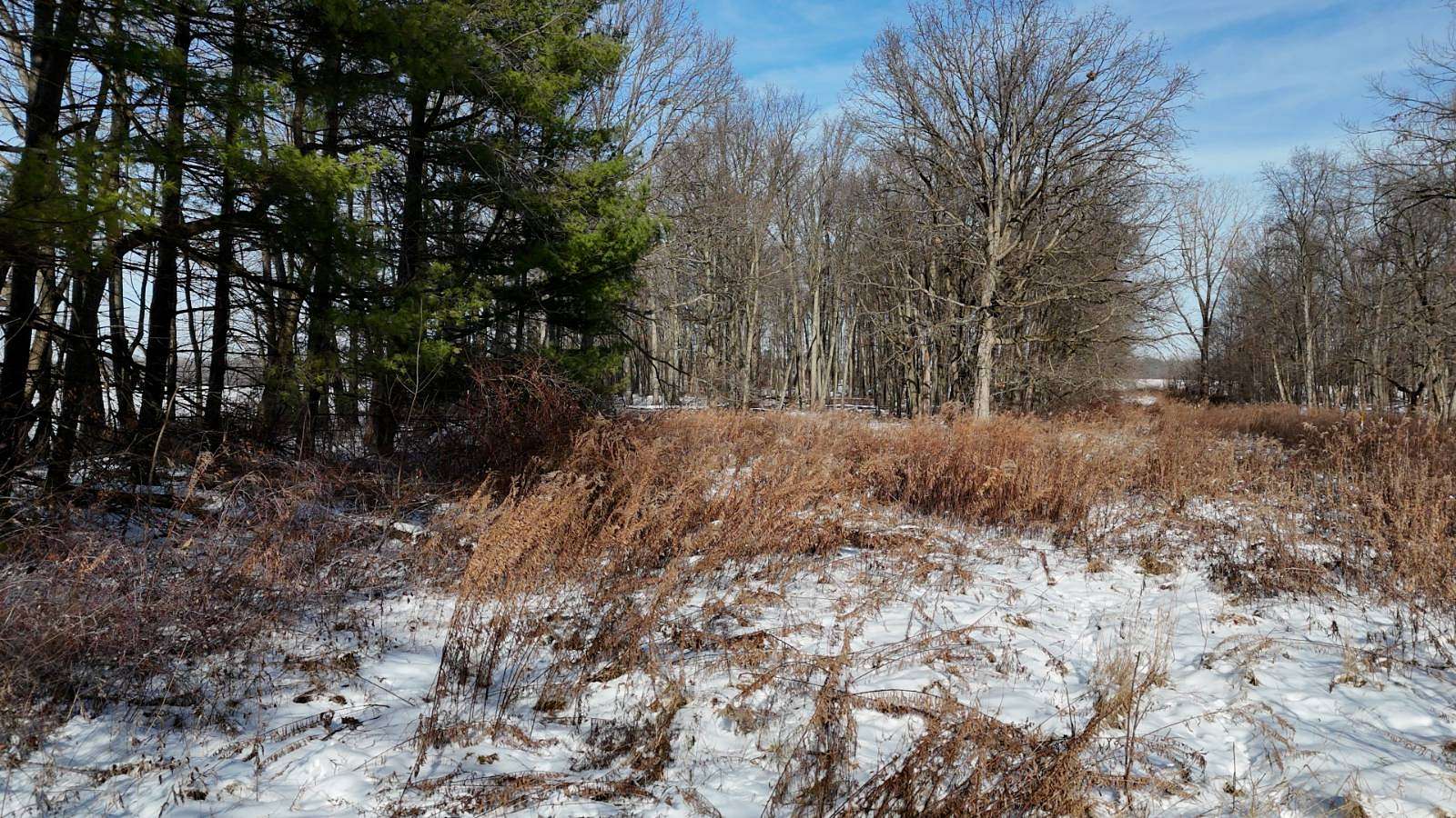 81.3 Acres of Land for Auction in Ashland, Ohio