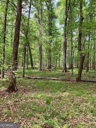1,524 Acres of Recreational Land for Sale in Rayle, Georgia