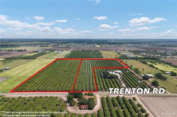 10.5 Acres of Land for Sale in Donna, Texas
