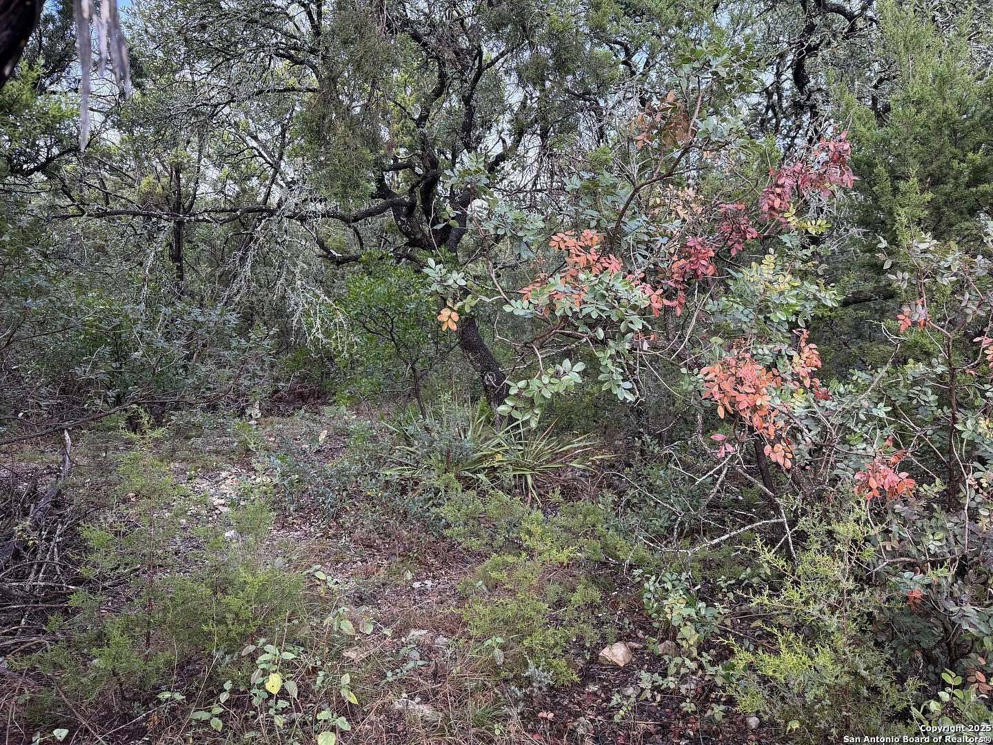 0.86 Acres of Residential Land for Sale in San Antonio, Texas