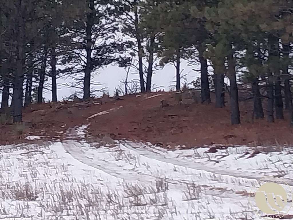 10 Acres of Recreational Land for Sale in Ashland, Montana