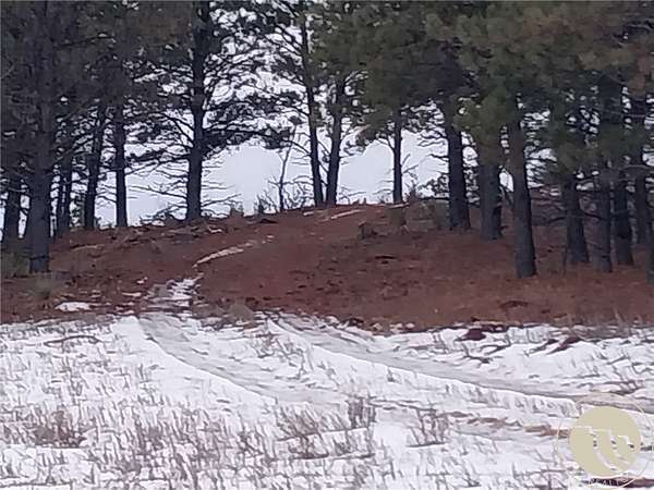 10 Acres of Recreational Land for Sale in Ashland, Montana