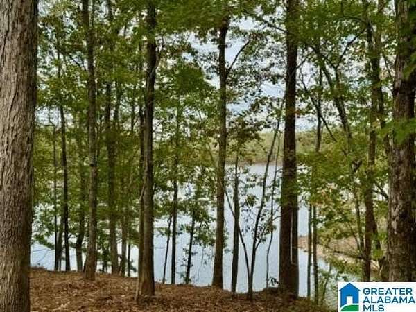 1 Acre of Residential Land for Sale in Wedowee, Alabama