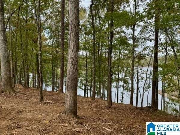 2.86 Acres of Land for Sale in Wedowee, Alabama