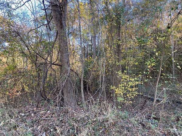 0.14 Acres of Land for Sale in Huntington, Texas