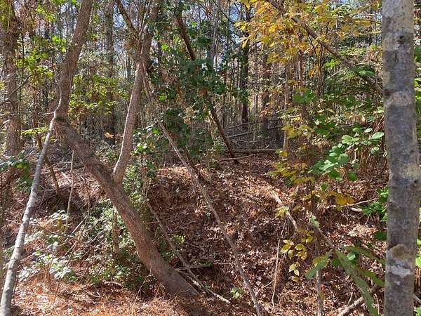 0.14 Acres of Land for Sale in Huntington, Texas