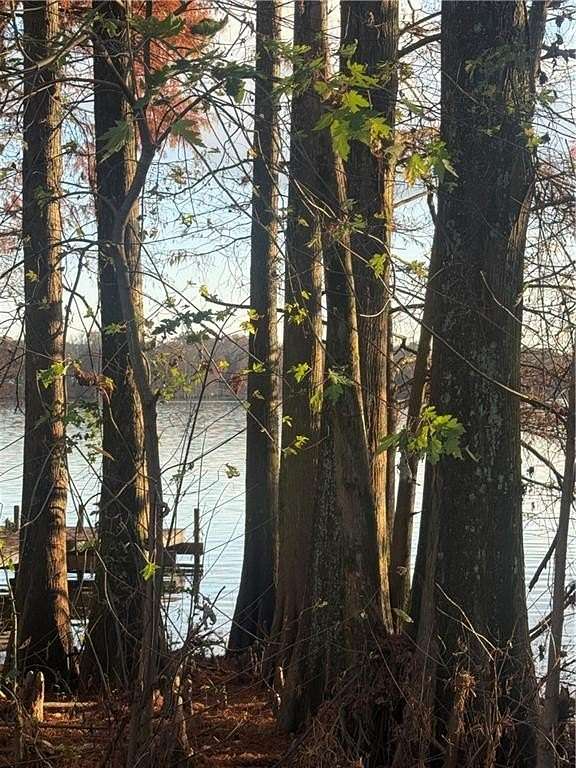 0.6 Acres of Land for Sale in Atkins, Arkansas