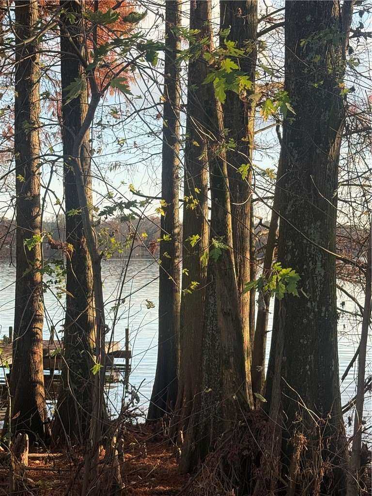 0.6 Acres of Land for Sale in Atkins, Arkansas