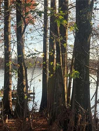 0.6 Acres of Land for Sale in Atkins, Arkansas