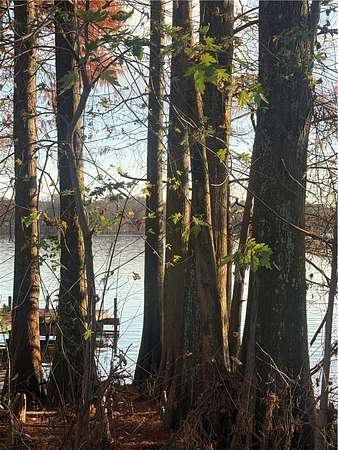 0.6 Acres of Land for Sale in Atkins, Arkansas